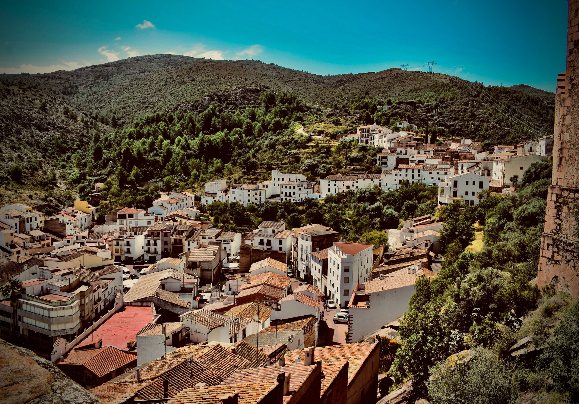 Emprender en el entorno rural